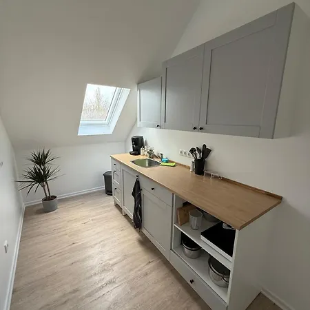 Modern & In